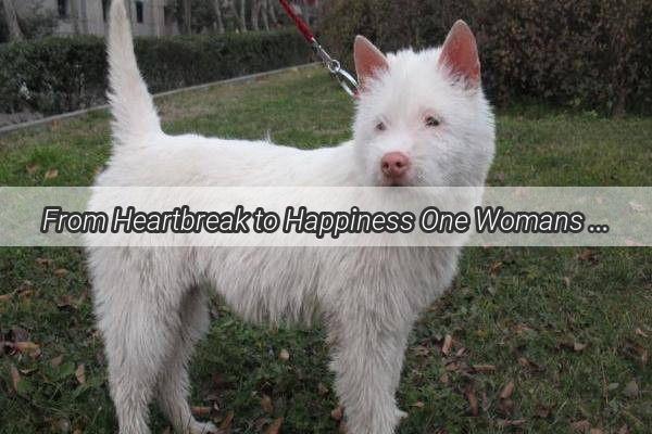 From Heartbreak to Happiness One Womans Extraordinary Journey with Her Rescued Canine Companions